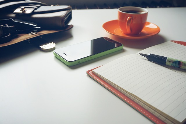Web development