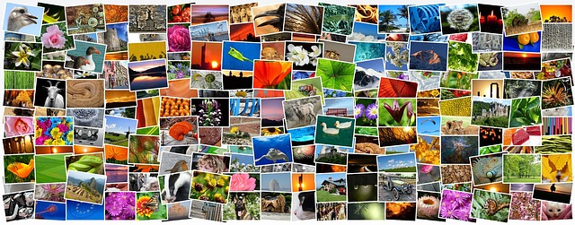 photo editing